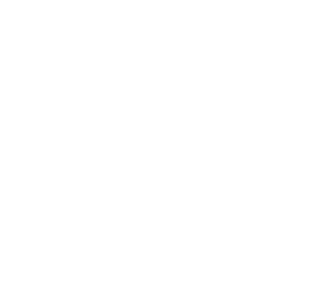 Solas-Insight — Illuminating Intelligence